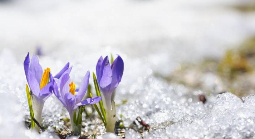 Ilyen idő várható február utolsó hetében: a szakértők elárulták, visszatér-e még a tél