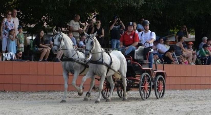 Új üzemeltető irányítja a tamási lovaspályát – nagy tervei vannak!