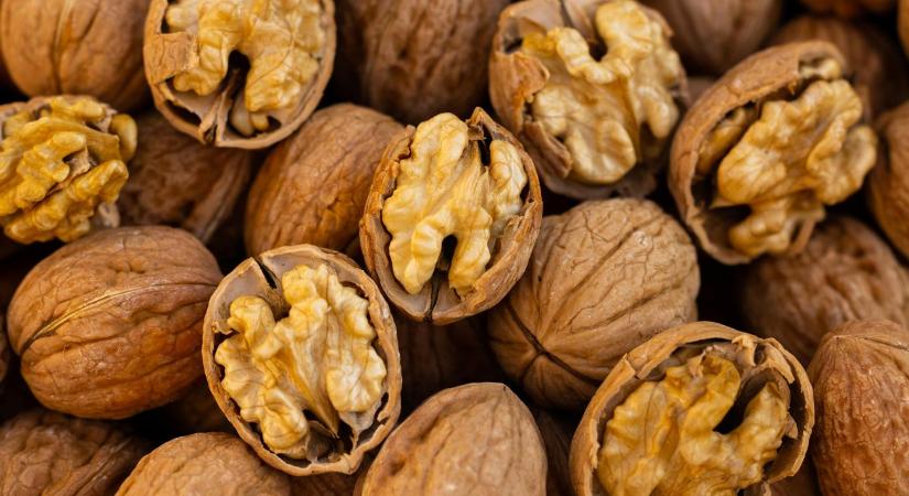 3500 forint a dióbél: A fúrólégy túlélte a telet, jön az újabb drágulás?