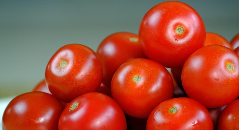 Új lendület az orosz–török agrárkereskedelemben