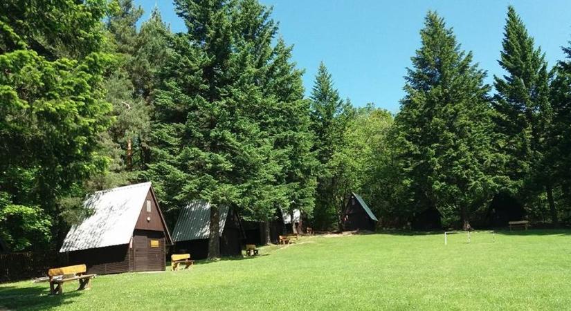 Elképesztő összeg gyűlt össze egyetlen este alatt Abonyban: mutatjuk, mire fordítják