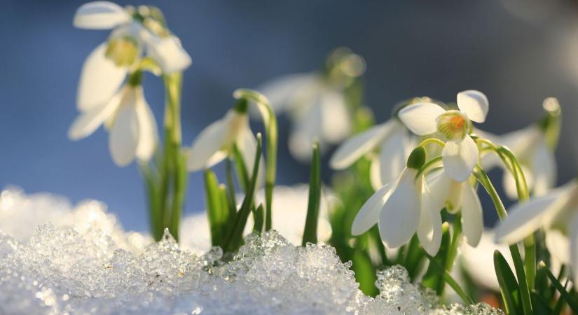 Megtépázza idegeinket a kettős front, aztán fellélegezhetünk: jöhet a várva várt tavasz!