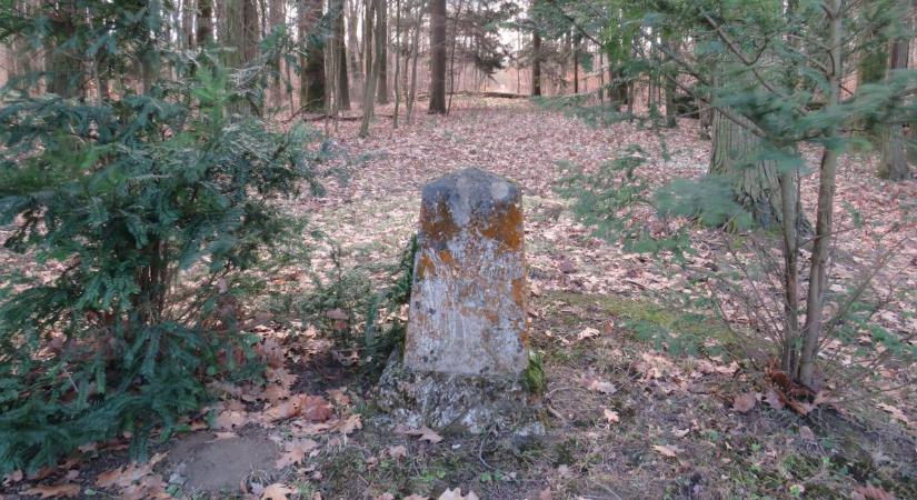 Az ezeréves Magyarország emléke a Malomlói-erdőben