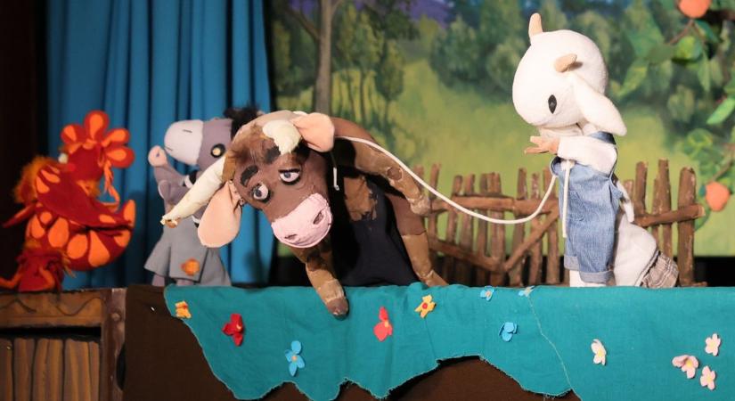 Egy falánk kismalac kalandjai Nyíregyházán (fotók, videó)