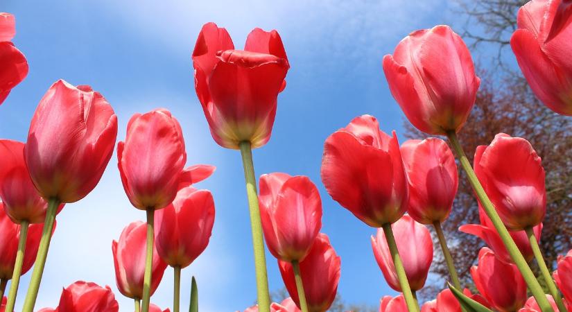 Újra nagyot fordul az időjárás