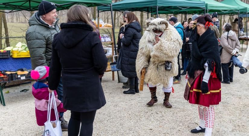 Kolompszó verte fel Piliscsévet: mohácsi busók lepték el a farmot  galéria