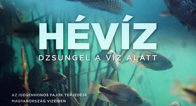 A kortárs magyar természetfilmek legjava a képernyőn