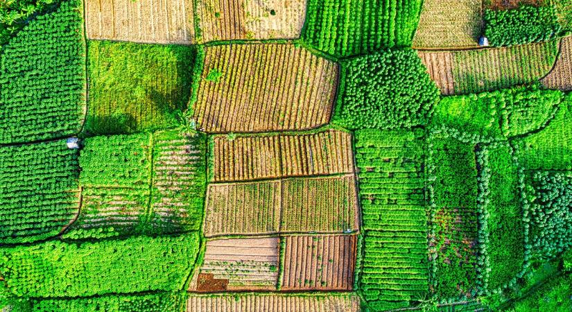 99 ezer tonna marhahús és vámmentes cukor: ezt hozza az uniós piacra a brazil óriás