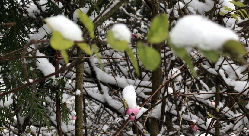 Jön a tavasz vagy még visszatér a tél? Ilyen lesz a jövő hét időjárása Zalában