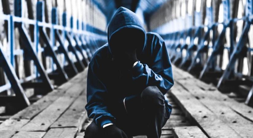 Újra lecsapott a mérgező rém Ferencvárosban – egymást figyelmeztetik a lakók