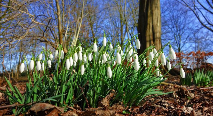 Megérkezik a kora tavasz: 10 fok feletti nappalok, akár 18 fok a hétvégén