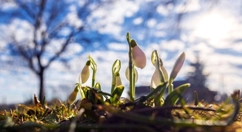 Hétfői fordulat: melegfront söpri ki a hideget