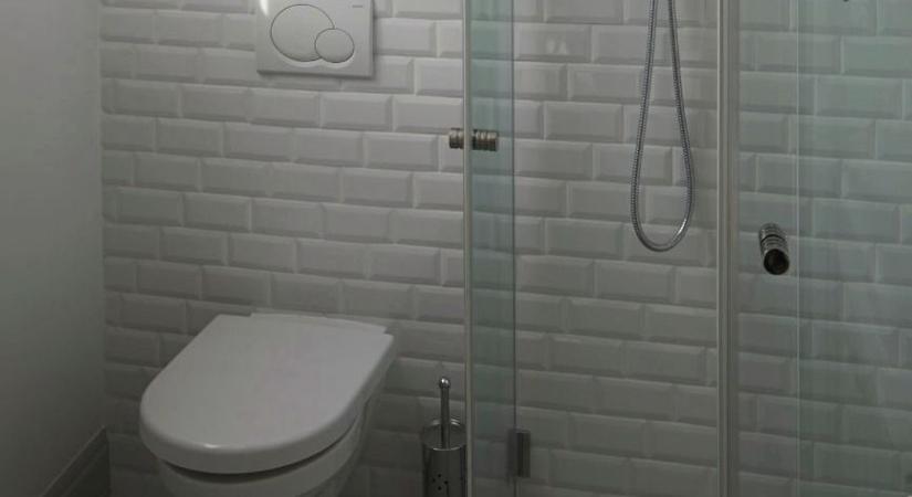 Ez a néhány filléres trükk gyorsan tisztává varázsolja a WC-t