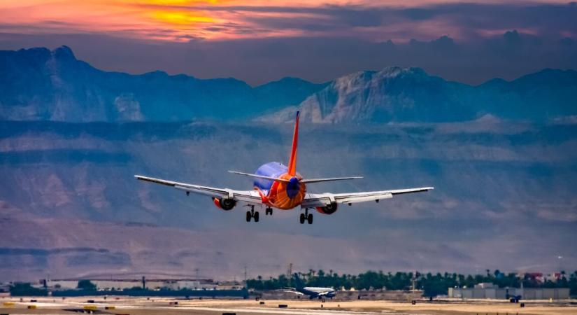 Több ezren akarták örökbe fogadni a repülőtéren magára hagyott kutyát