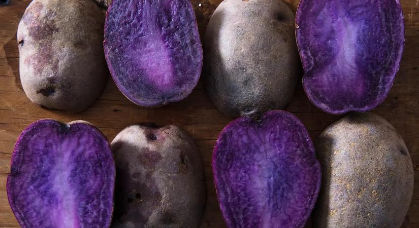 Toronymagas fölénnyel ez a burgonyafajta a legegészségesebb választás – mutatjuk miért!