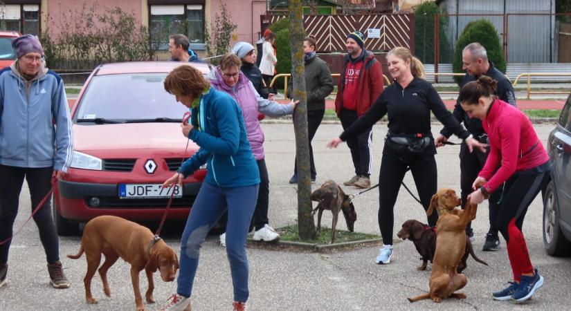 Kutyák és gazdik futottak együtt a jó ügyért Vásárhelyen