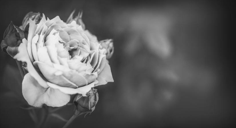 Meghalt Kecskeméti Sándor keramikus- és szobrászművész