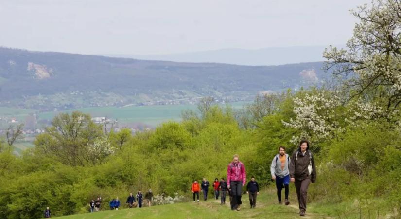 Már lehet nevezni a Gerecse teljesítménytúrákra