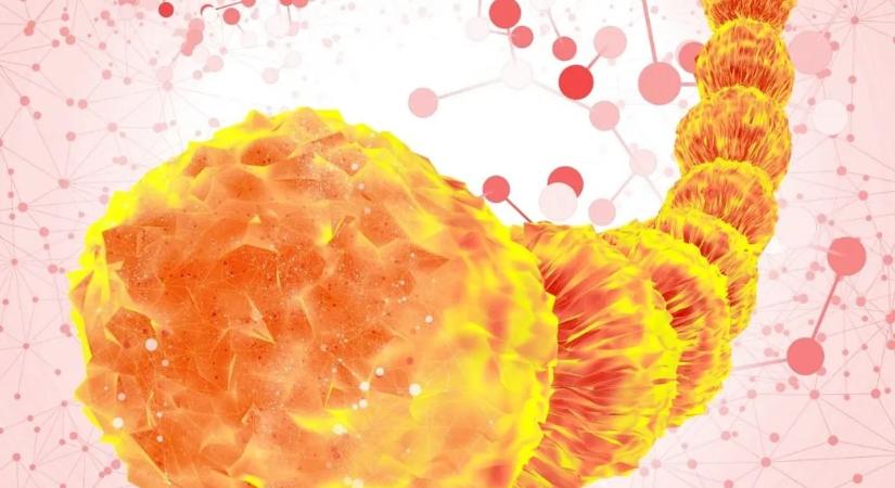 Megoldották az élet eredetének egyik nagy kérdését