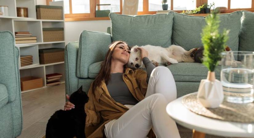 Miért a kutya az új gyerek? A generációs váltás, ami alapjaiban írja felül a pénzügyi döntéseket