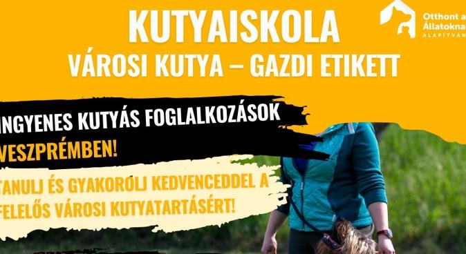 KUTYÁS ILLEMTAN – INGYENES KUTYA‑GAZDI OKTATÁS