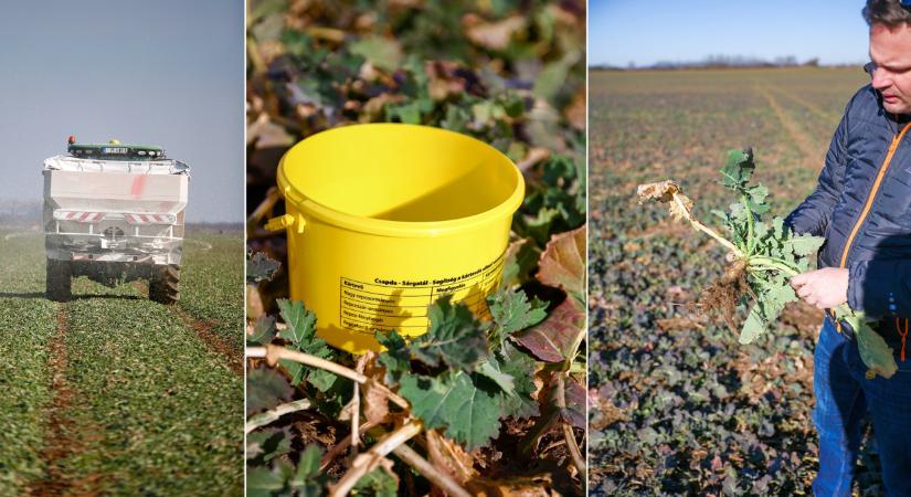 Ezt figyeld a repcéden!