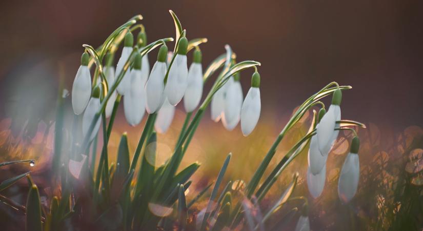 Időjárás 2026. február 23.: Erős szél és csapadék várható, de enyhül az idő