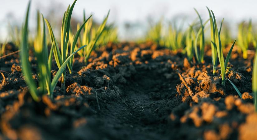 Vége a megszokásoknak: itt az ideje változtatnia a magyar gazdáknak