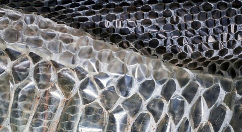 „Kígyóvá vált” a menyasszony, ezzel a trükkel lépett meg