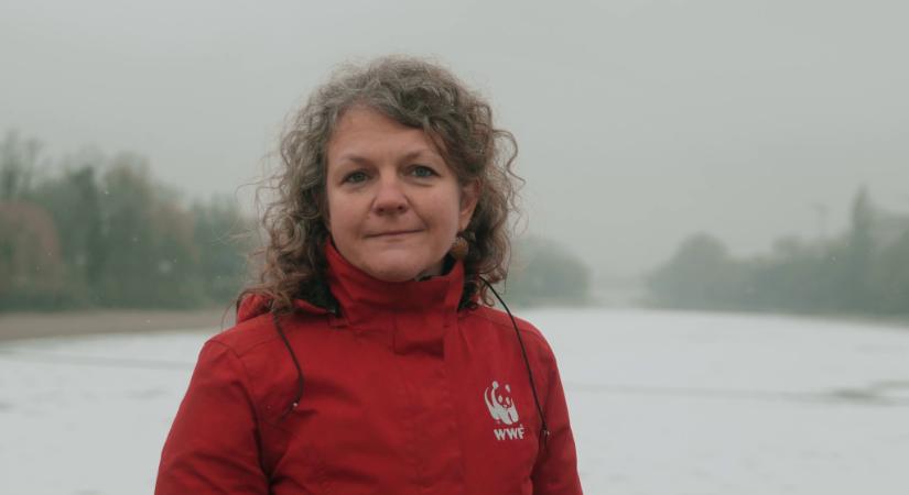 Mindenki látja, hogy óriási gond van, „de nem teszünk semmit”!