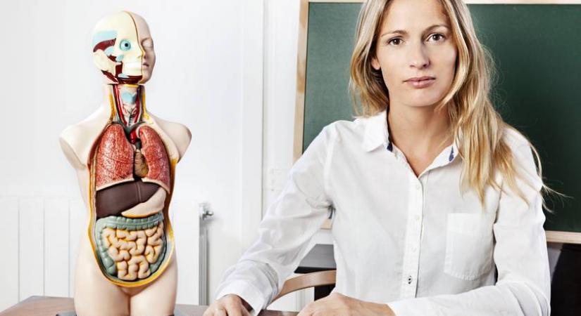 Alapkvíz biológiából: ismered az emberi testet