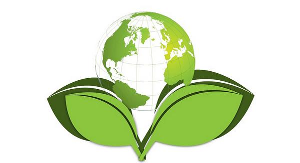 Ezek lehetnek a legfontosabb fenntarthatósági trendek idén