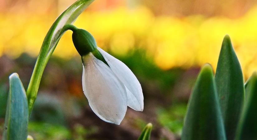Erősen felhős, szeles idővel indul a hét, de fokozatosan érkezik az enyhülés