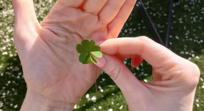 5 csillagjegy, akiket most magasra emelhet az élet, és Fortuna is melléjük szegődhet