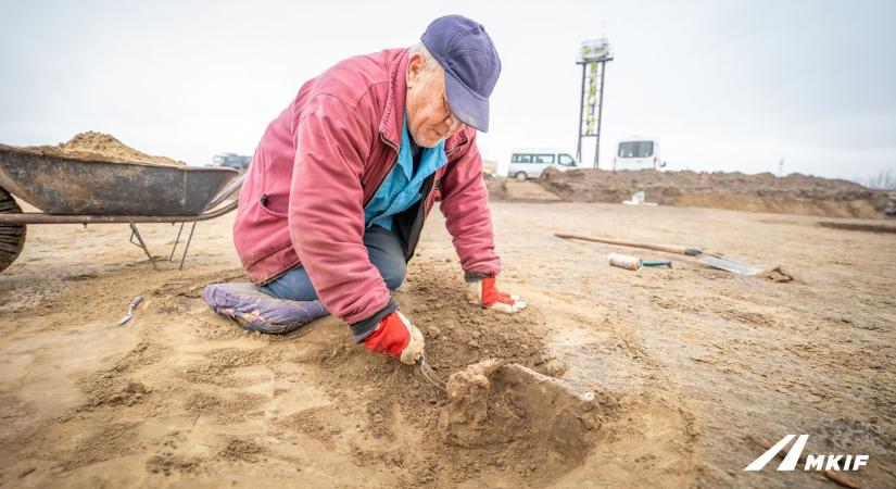 Százezrek autóztak el a holttestek mellett, csak most merték megmutatni, mit találtak
