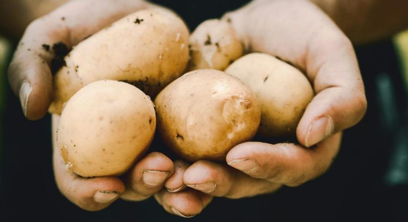 A dietetikusok szerint ez a legegyszerűbb étel az egyik leglaktatóbb a világon – és szinte minden magyar konyhában ott van