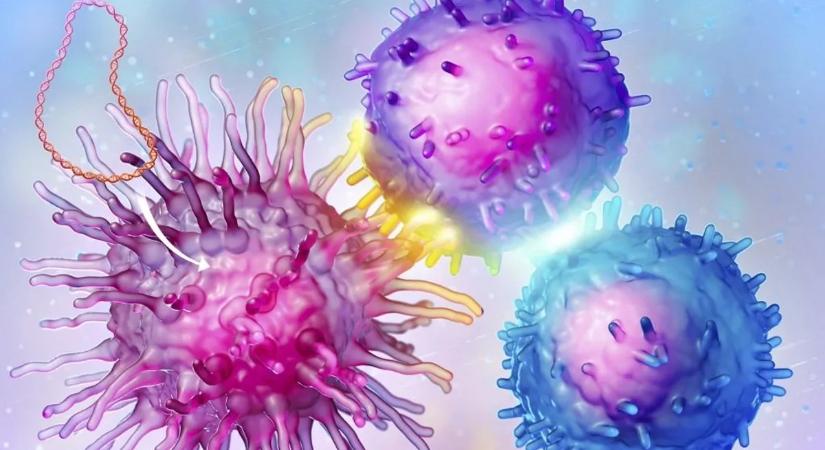 Végre megfejtették, miért újulhat ki a rák