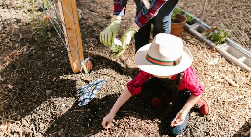 A legjobb magokat helyi magbörzéken szerezhetjük meg – Itt a lista és a titok nyitja!