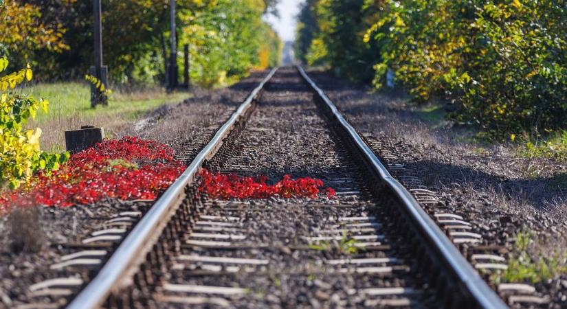 Vasúti sínre borult egy fa Hajdú-Biharban!