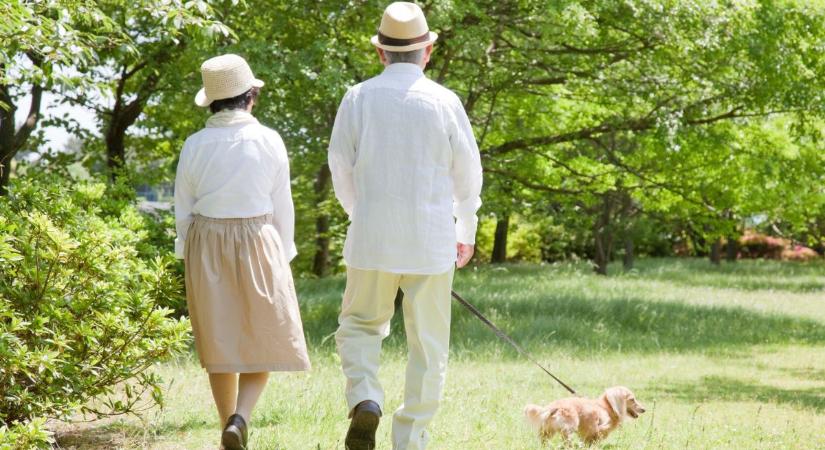 Hűséges társak: 5 kutyafajta, ami bearanyozza az időskort