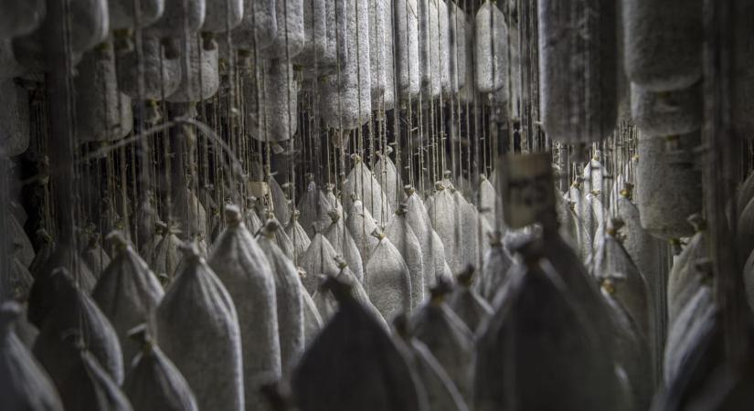 Év végén is folytatódott a beruházások visszaesése