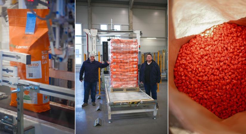 Ez sok gazdát érint: Új növények a KWS vetőmag-előállító portfóliójában