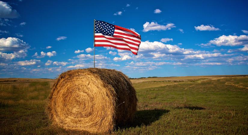 Hatalmasat buktak ezek a termelők: itt még a támogatás sem segít