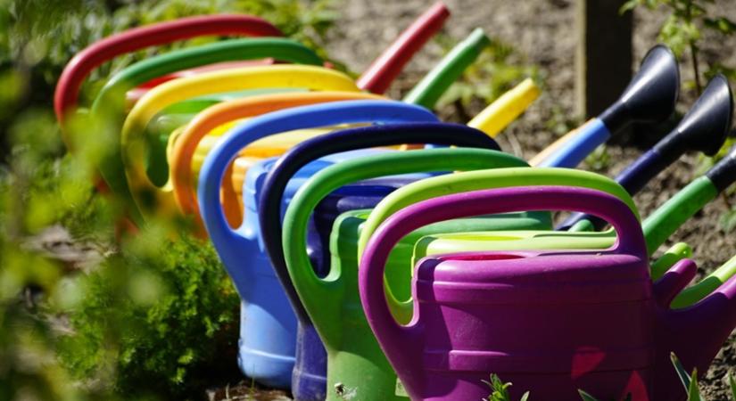 Színrobbanás a Kőröshegyi Tulipán és Levendula Parkban