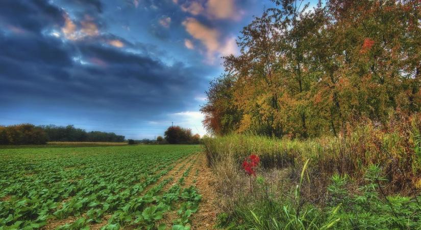 Mindenki földet akar venni? Megugrottak a bérleti díjak és az árak az EU-ban