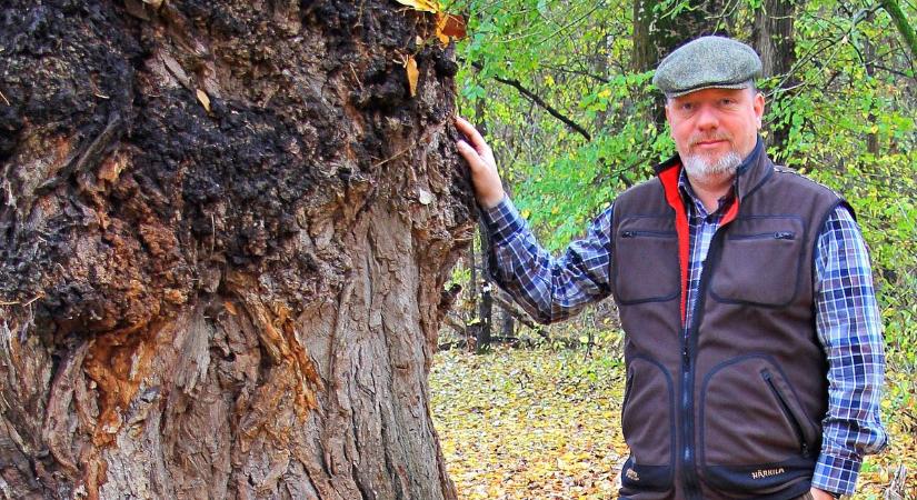 Nem igaz, hogy egyre kevesebb az erdőterület Magyarországon, a jobbítás a cél