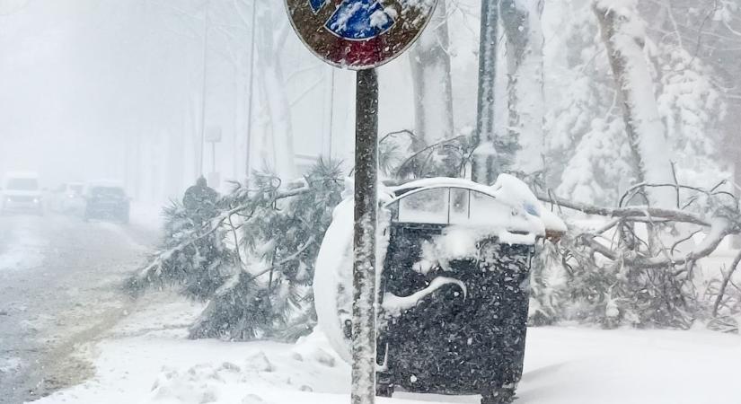 Még a havazás után is több vasi településre riasztották a tűzoltókat a kidőlt fák miatt
