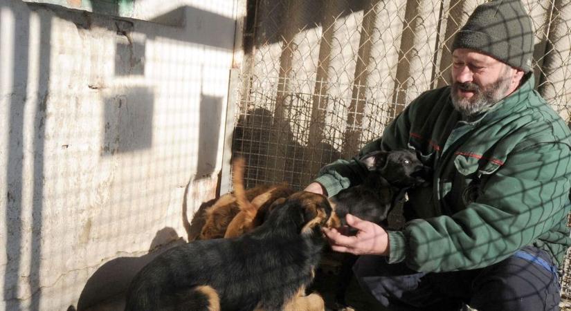 Kis figyelem, nagy segítség - minden, amit az egy plusz egy százalékról érdemes tudni