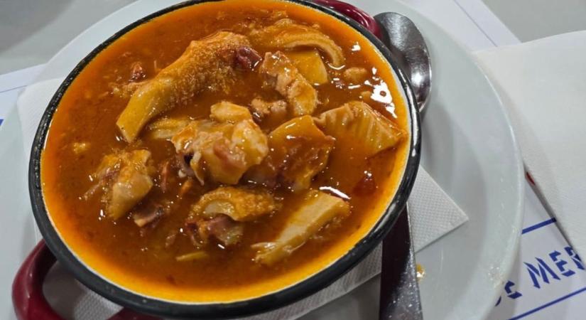 Nem hinnéd, melyik pacalt nevezte a világ legjobbjának a PacalTurista – a receptet is megszereztük!