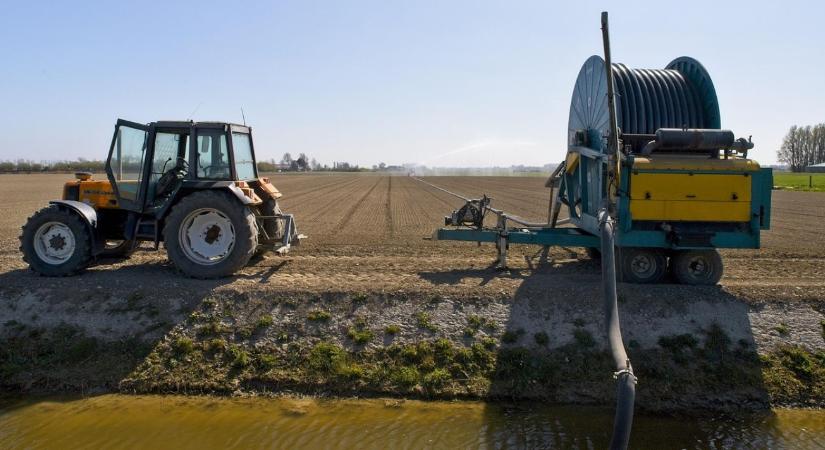 Öntözési menetrend 2026: Hamarosan indul az idény, mutatjuk a teendőket